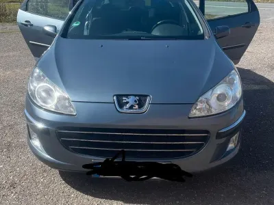 Gebraucht Peugeot 407 Platinum 136 PS (100 kW) 2005 Grau Kombi