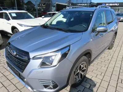 Gebraucht Subaru Forester