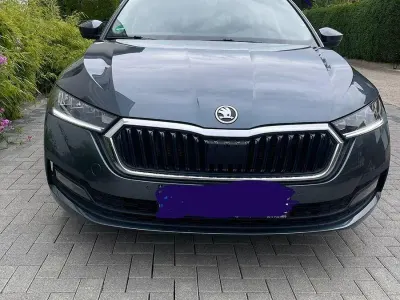 Gebraucht Skoda Octavia