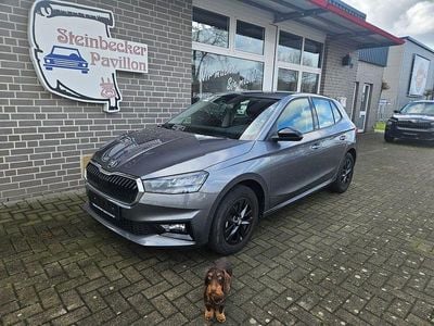 Usata Skoda Fabia Selection 95 CV (69 kW) 2025 Grigio Utilitaria