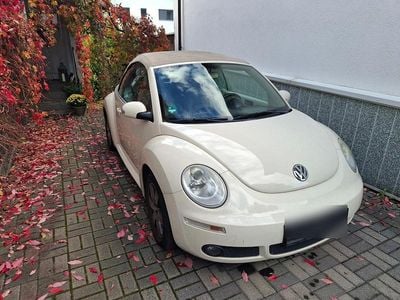 VW Beetle