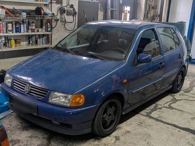 VW Polo