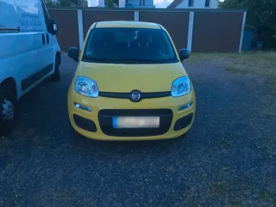 Occasion Fiat Panda 69 ch (50 kW) 2020 Jaune Citadine