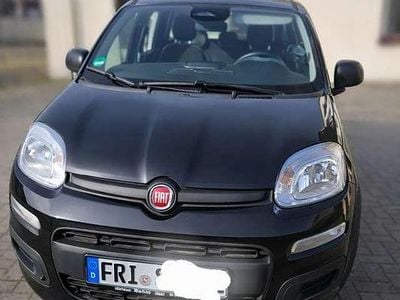 Nouă Fiat Panda City Life 69 CP (50 kW) 2025 Negru Hatchback