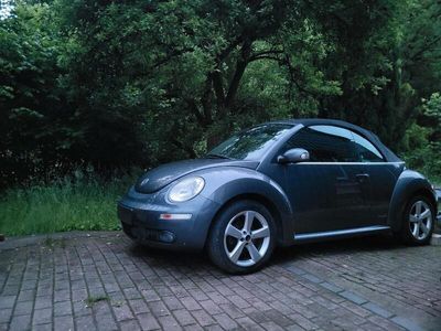 VW Beetle