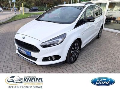 Gebraucht Ford S-MAX ST-Line 190 PS (139 kW) 2019 Weiss Van / Kleinbus
