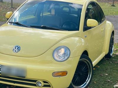 VW Beetle