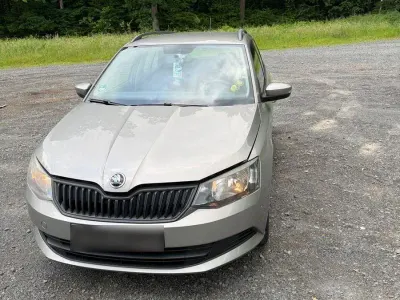 Gebraucht Skoda Fabia Active 90 PS (66 kW) 2016 Braun Kombi