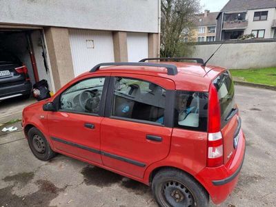 gebraucht Fiat Panda Panda1.2 Dynamic