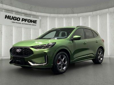 Gebraucht Ford Kuga ST-Line X 186 PS (136 kW) 2024 Bursting green SUV