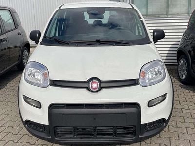 Colore esterno (weiss) Gebraucht 2024 Fiat Panda Kleinwagen | 15.900 € (Etwas zu teuer)