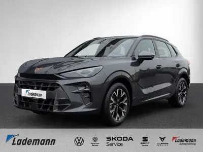 Gebraucht Cupra Terramar