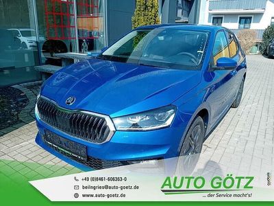 Usata Skoda Fabia Tour 116 CV (85 kW) 2022 Blu Utilitaria