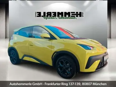 Używany BYD Dolphin Surf