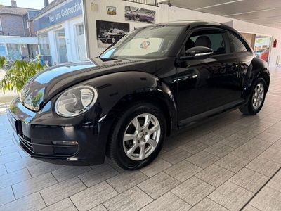 VW Beetle