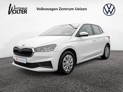 Gebraucht Skoda Fabia Active 80 PS (58 kW) 2021 Weiß Kleinwagen