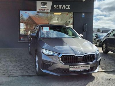 Usata Skoda Scala Selection 116 CV (85 kW) 2024 Grigio Utilitaria
