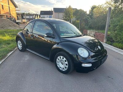 VW Beetle