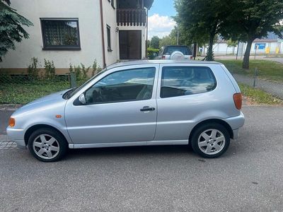 VW Polo