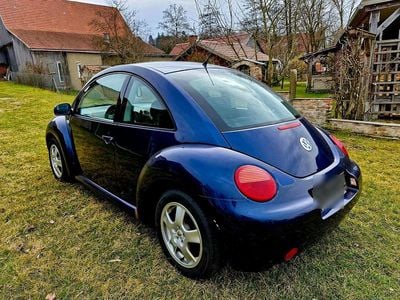 VW Beetle
