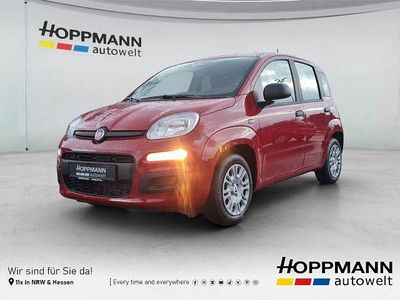 Rot Neu 2026 Fiat Panda Pop Kleinwagen | 14.990 € (Fairer Preis)