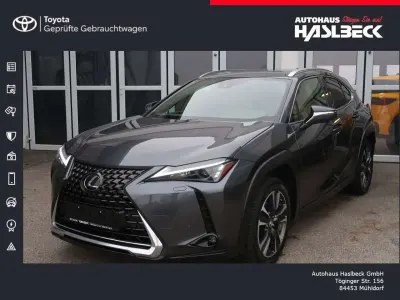 Gebraucht Lexus UX 250h 184 PS (135 kW) 2023 Grau SUV