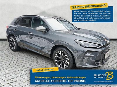 Timanfayagrau Gebraucht 2025 Cupra Terramar SUV | 32.990 € (Superpreis)