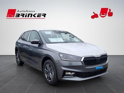 Graphitegrau metallic Neu 2026 Skoda Fabia Tour Kleinwagen | 24.990 € (Etwas zu teuer)