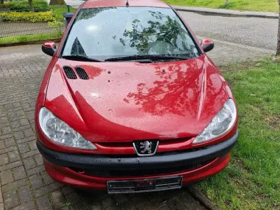 Używany Peugeot 206 70 KM (51 kW) 2008 Hatchback