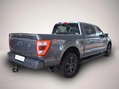 Gebraucht Ford F-150