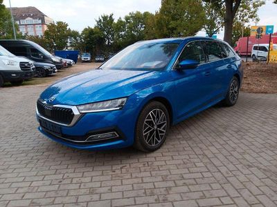 Gebraucht Skoda Octavia Style 150 PS (110 kW) 2024 Modra race/race blue Kombi