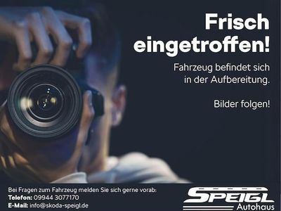 Second-hand Skoda Octavia Style 190 CP (139 kW) 2018 Argintiu Berlinǎ