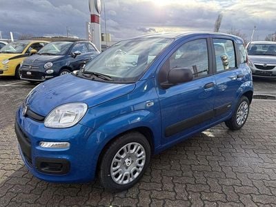 Neu Fiat Panda 69 PS (50 kW) 2025 Italia blau Kleinwagen