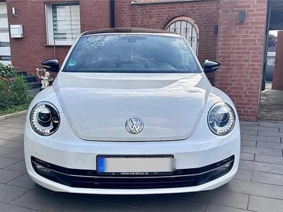 VW Beetle