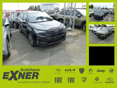 Gebraucht Subaru Forester