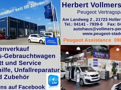 Gebraucht Peugeot 2008 Active 120 PS (88 kW) 2014 Blau SUV