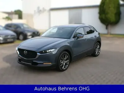 Gebraucht Mazda CX-30 Selection 179 PS (131 kW) 2020 Grau SUV