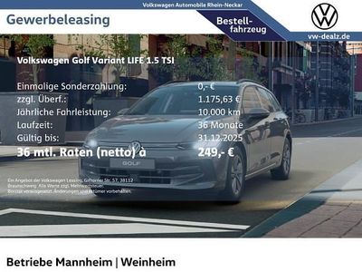 Neu VW Golf VIII Life 116 PS (85 kW) 2025 Grau (uranograu) Kombi