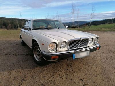 gebraucht Jaguar XJ6 4,2 - Serie 3 - BJ 1986 - H-Zulassung