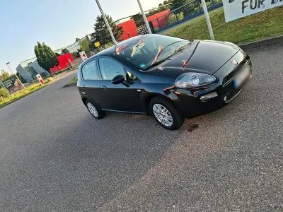 Usata Fiat Punto 95 CV (69 kW) 2014 Nero Utilitaria