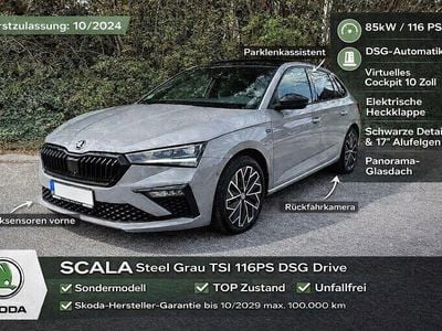 Usata Skoda Scala Drive 116 CV (85 kW) 2024 Grigio Utilitaria