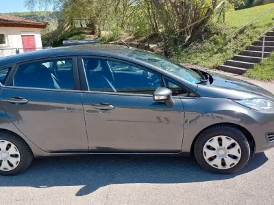 Usata Ford Fiesta Trend 101 CV (74 kW) 2015 Grigio Utilitaria