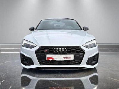 Gebraucht Audi S5 Basis 347 PS (255 kW) 2020 Gletscherweiß metallic Coupé