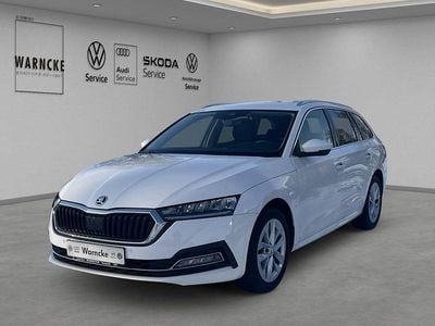 Gebraucht Skoda Octavia Style 116 PS (85 kW) 2023 Weiss Kombi