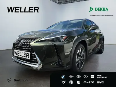 Gebraucht Lexus UX 250h Executive Line 184 PS (135 kW) 2023 Gruen SUV