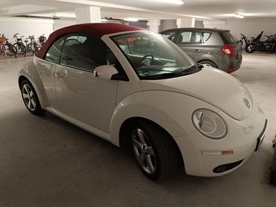 VW Beetle