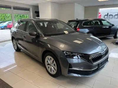 Neu Skoda Octavia Selection 150 PS (110 kW) 2025 Grau Kombi
