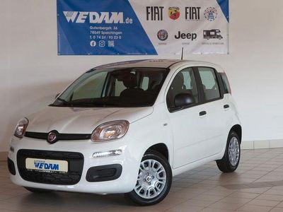 Neu Fiat Panda Urban 69 PS (50 kW) 2025 Gelato weiß Kleinwagen
