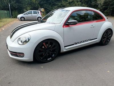 VW Beetle