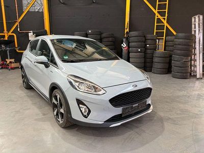 Gebraucht Ford Fiesta Active 101 PS (74 kW) 2019 Grau Kleinwagen